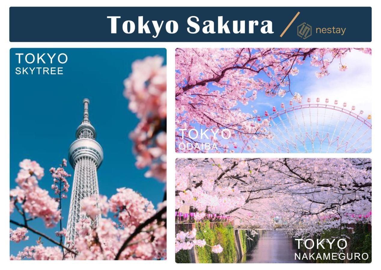 Nestay Inn Tokyo Otsuka 403 Εξωτερικό φωτογραφία