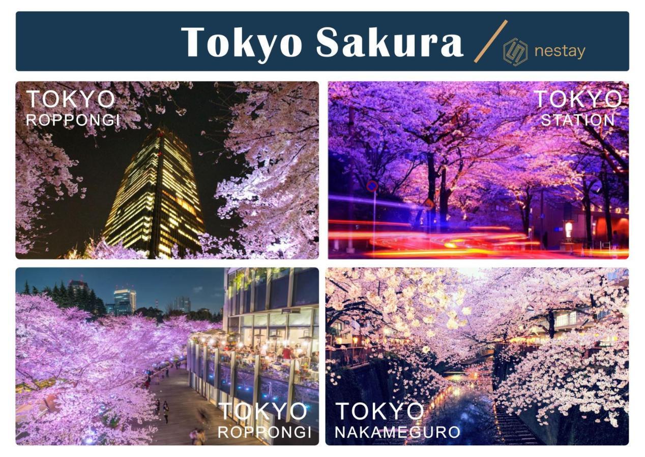 Nestay Inn Tokyo Otsuka 403 Εξωτερικό φωτογραφία